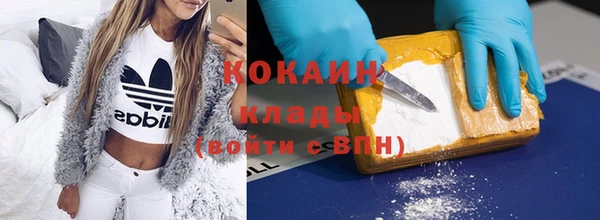 твердый Осташков