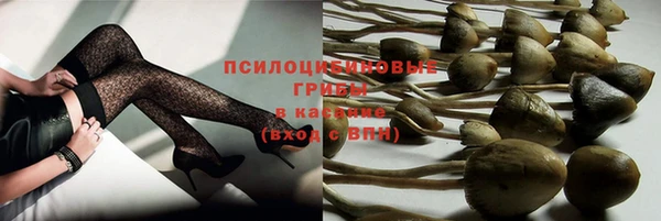 прущая мука Няндома
