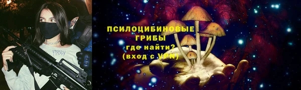 твердый Осташков