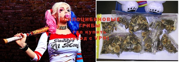 твердый Осташков