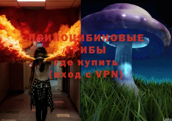 мдма Осинники