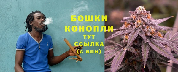 твердый Осташков