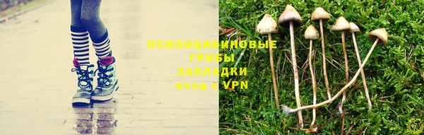 шишки Ишимбай