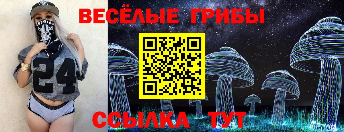 Псилоцибиновые грибы Psilocybe  Галлюциногенные грибы мицелий  Вход с VPN  Соликамск 