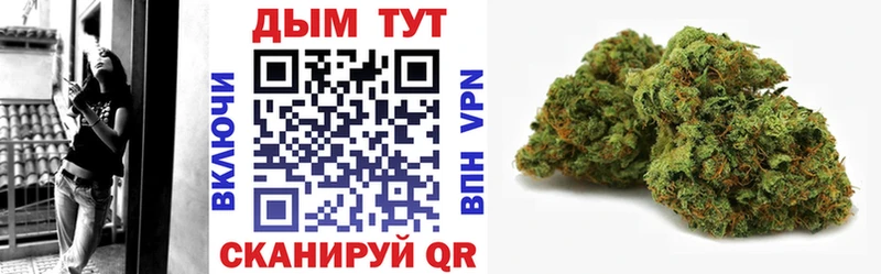 где продают   Соликамск  MEGA   Каннабис семена 